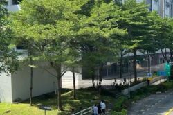 Enterprise One (D14), Factory #465021101